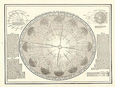1891 Antique Astronomy Print Vintage Solar System Print Planets Orbit Sun 8424